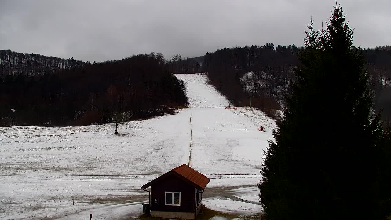 Webcam Loqua / Lokve – La bellezza della selva di Tarnova