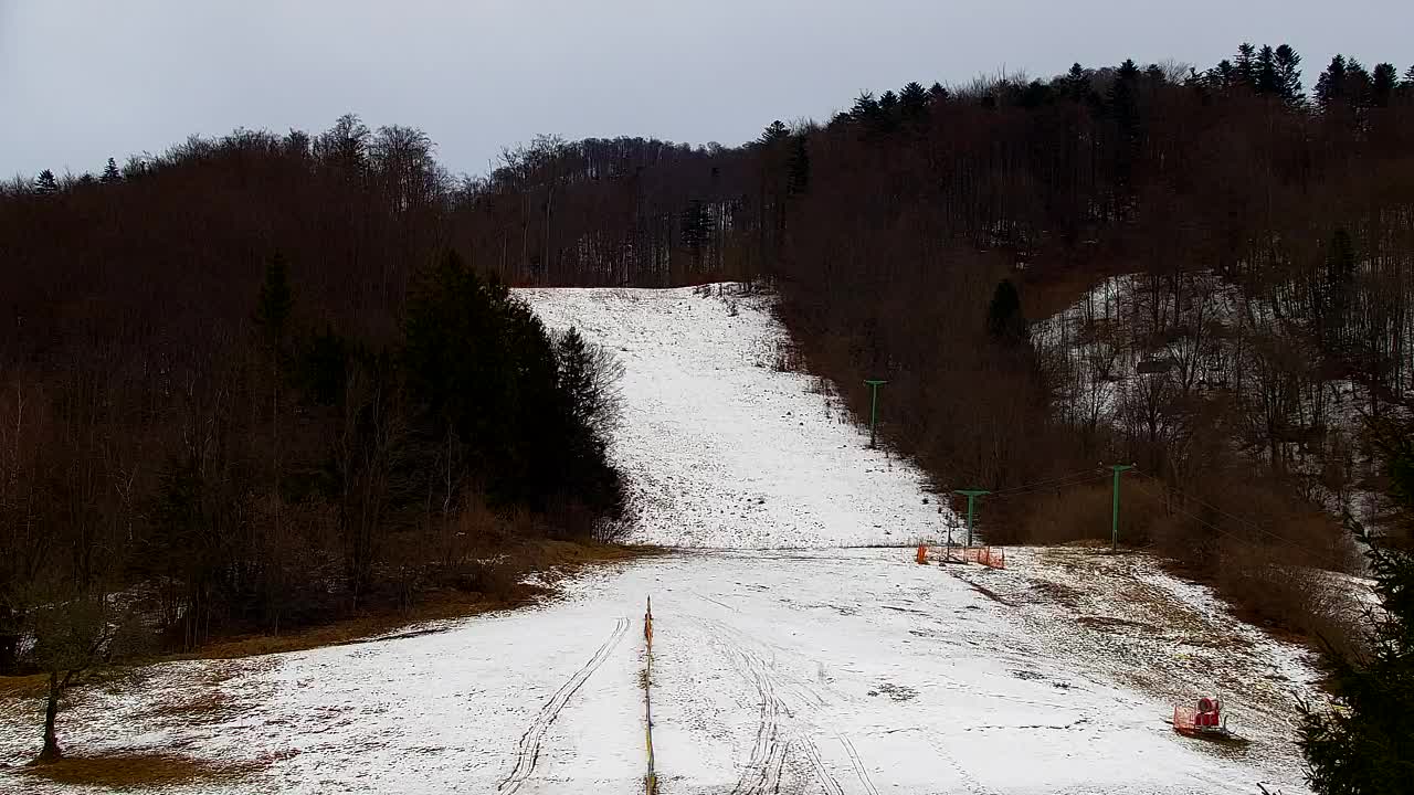 Webcam Lokve – The beauty of the Trnovo forest