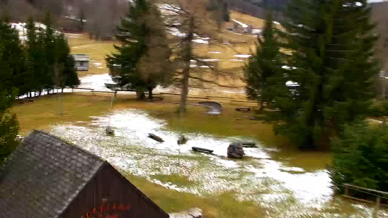 Lokve kamera – Naravne lepote Trnovskega gozda