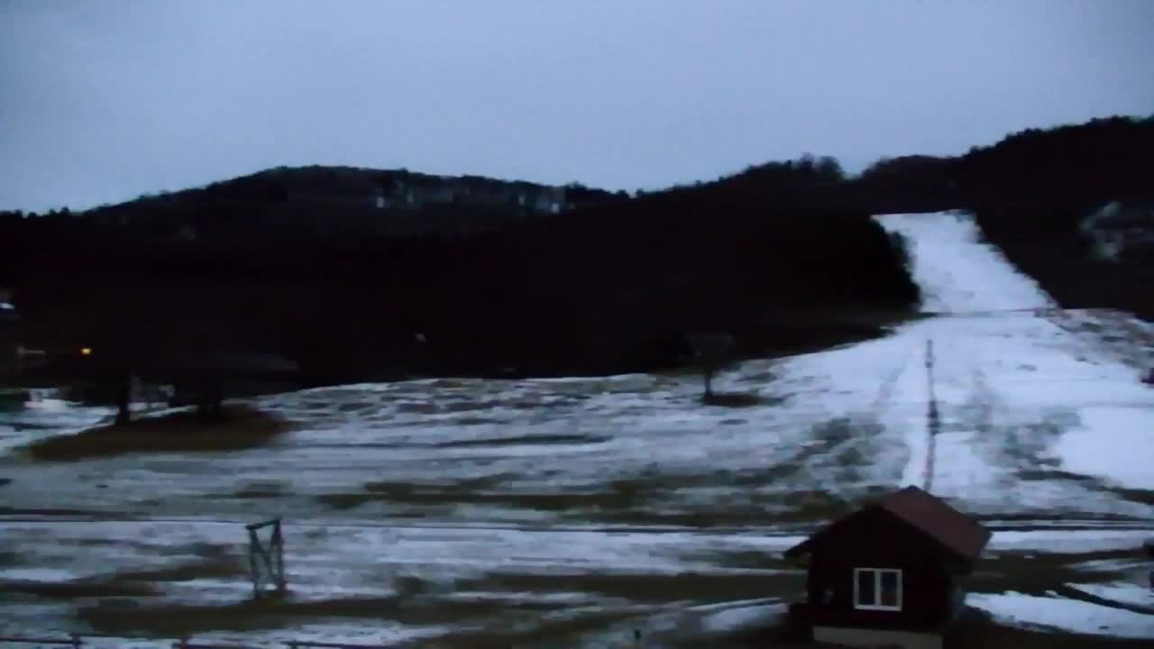 Webcam Loqua / Lokve – La bellezza della selva di Tarnova