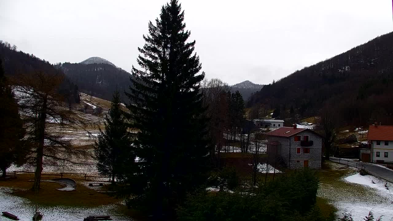 Webcam Loqua / Lokve – La bellezza della selva di Tarnova