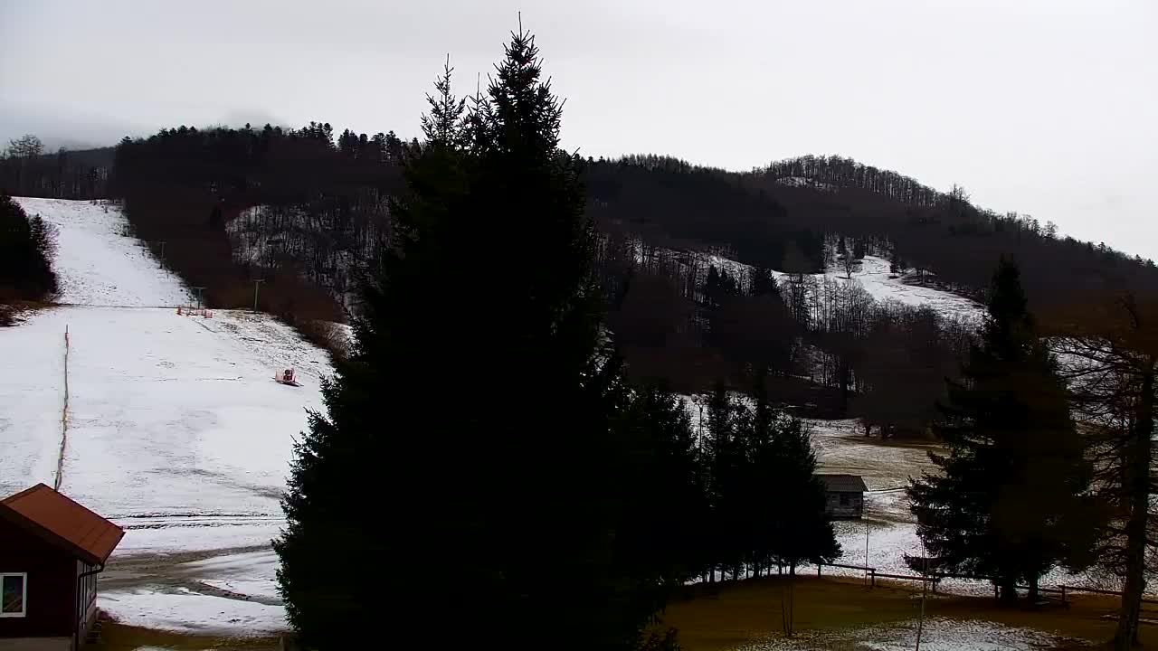 Webcam Loqua / Lokve – La bellezza della selva di Tarnova