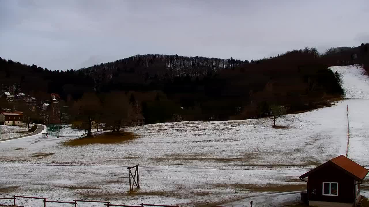 Webcam Lokve – Die Schönheit des Trnovo-Waldes
