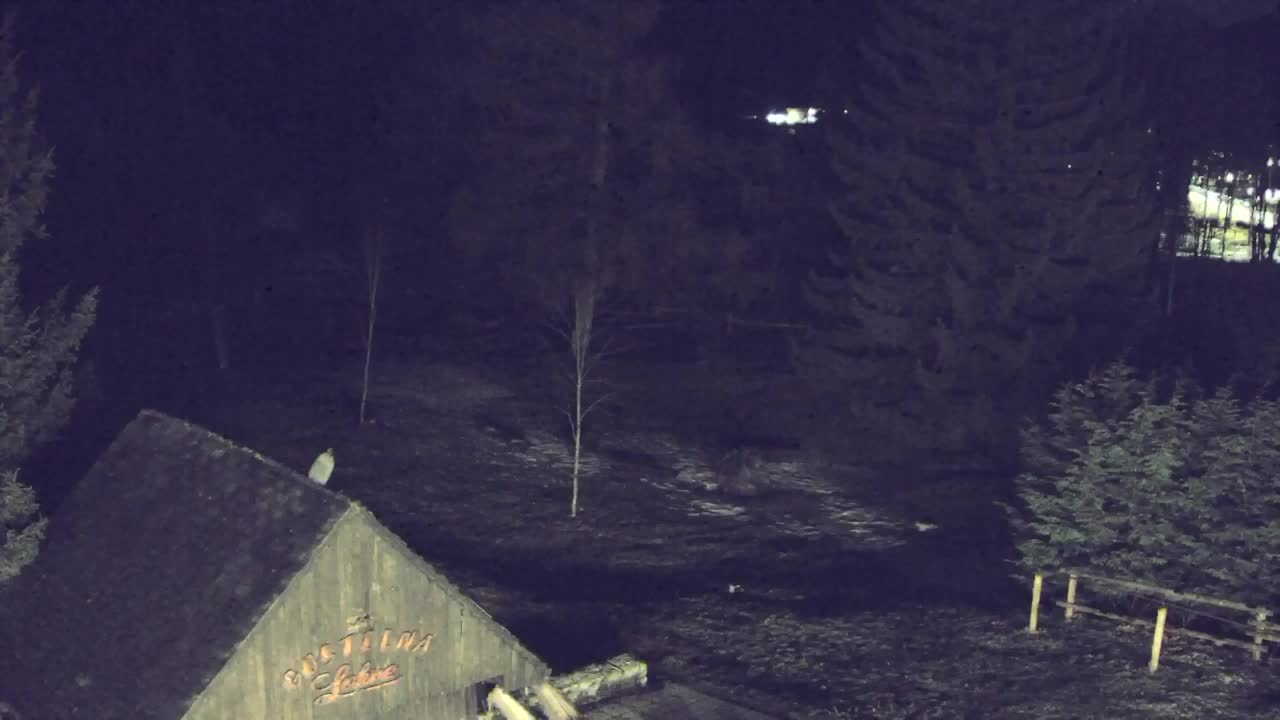 Webcam Lokve – The beauty of the Trnovo forest