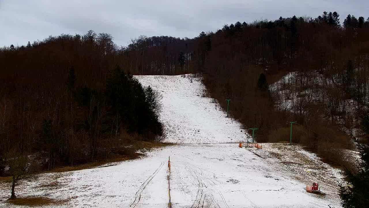 Webcam Lokve – The beauty of the Trnovo forest