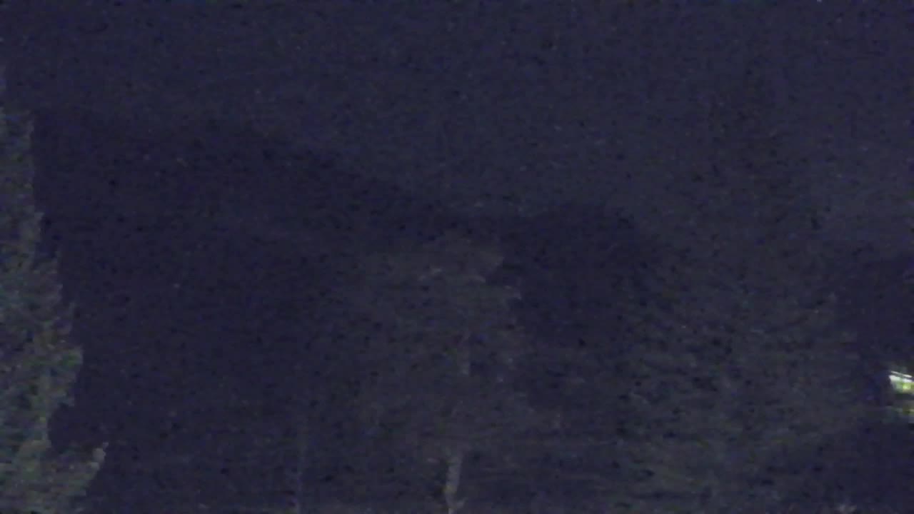 Webcam Lokve – The beauty of the Trnovo forest