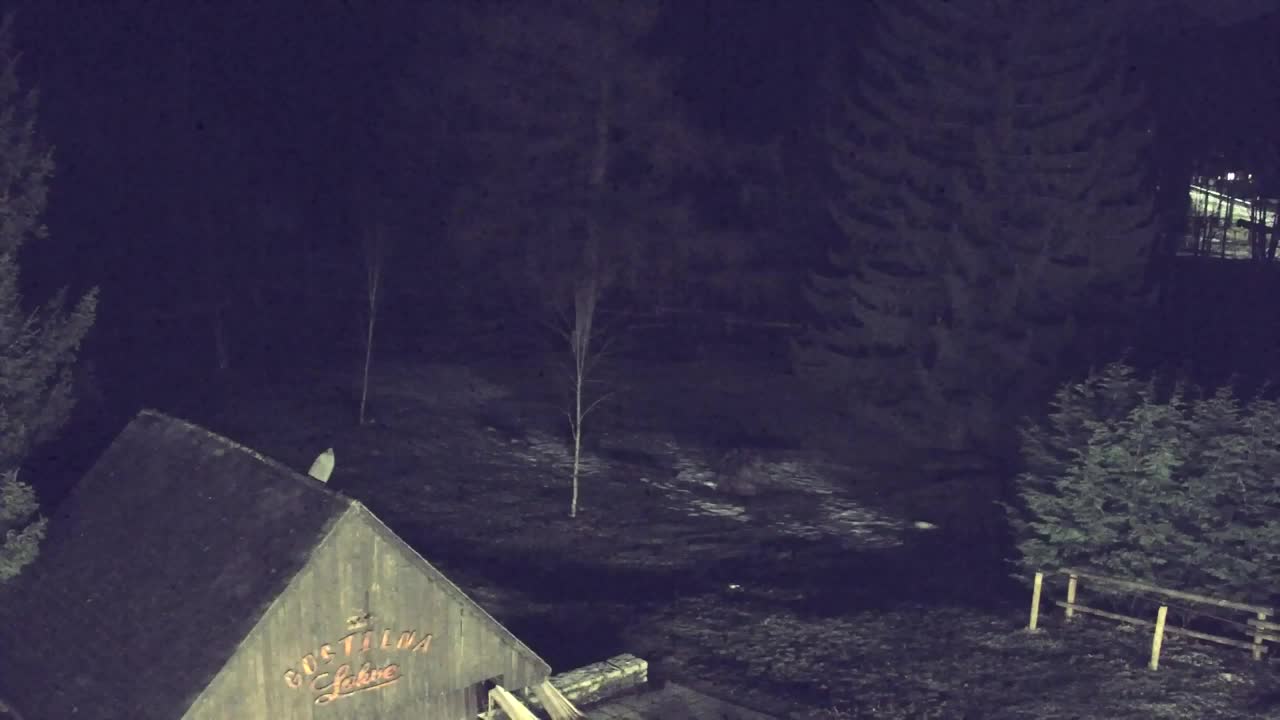 Webcam Lokve – La beauté de la forêt de Trnovo