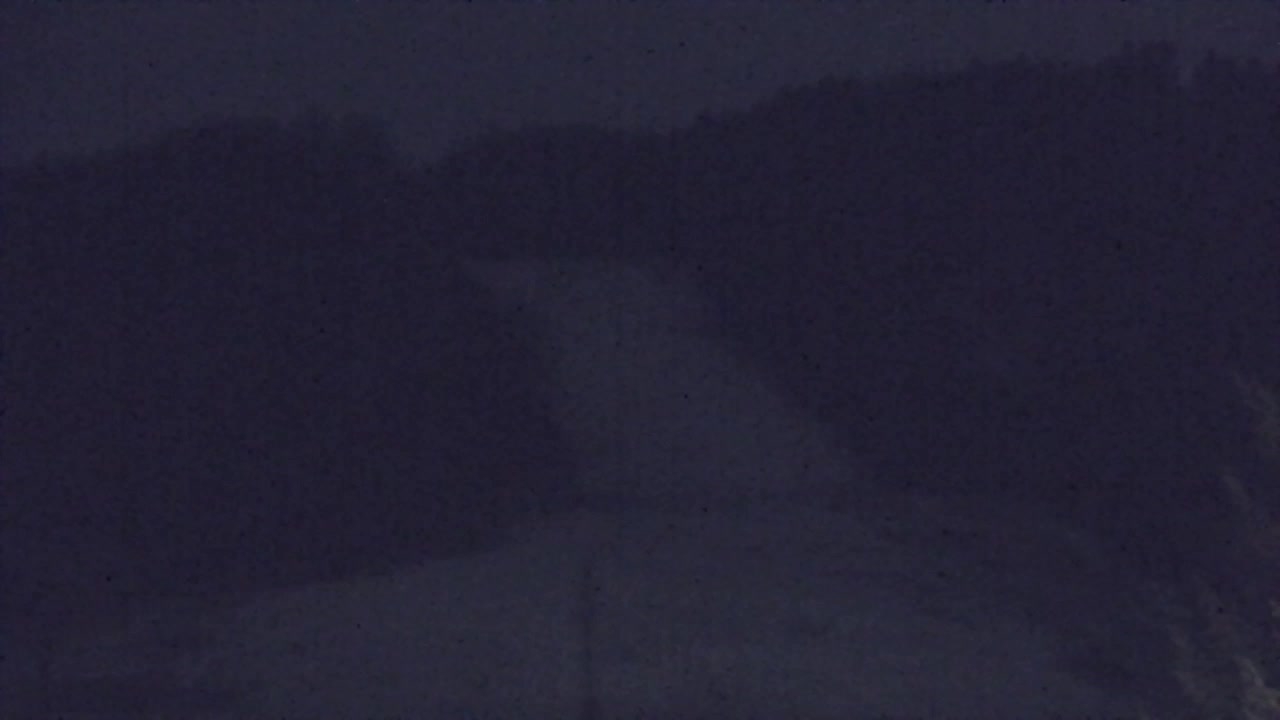 Webcam Loqua / Lokve – La bellezza della selva di Tarnova