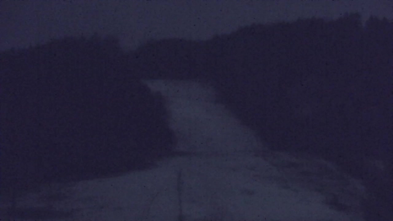 Webcam Loqua / Lokve – La bellezza della selva di Tarnova