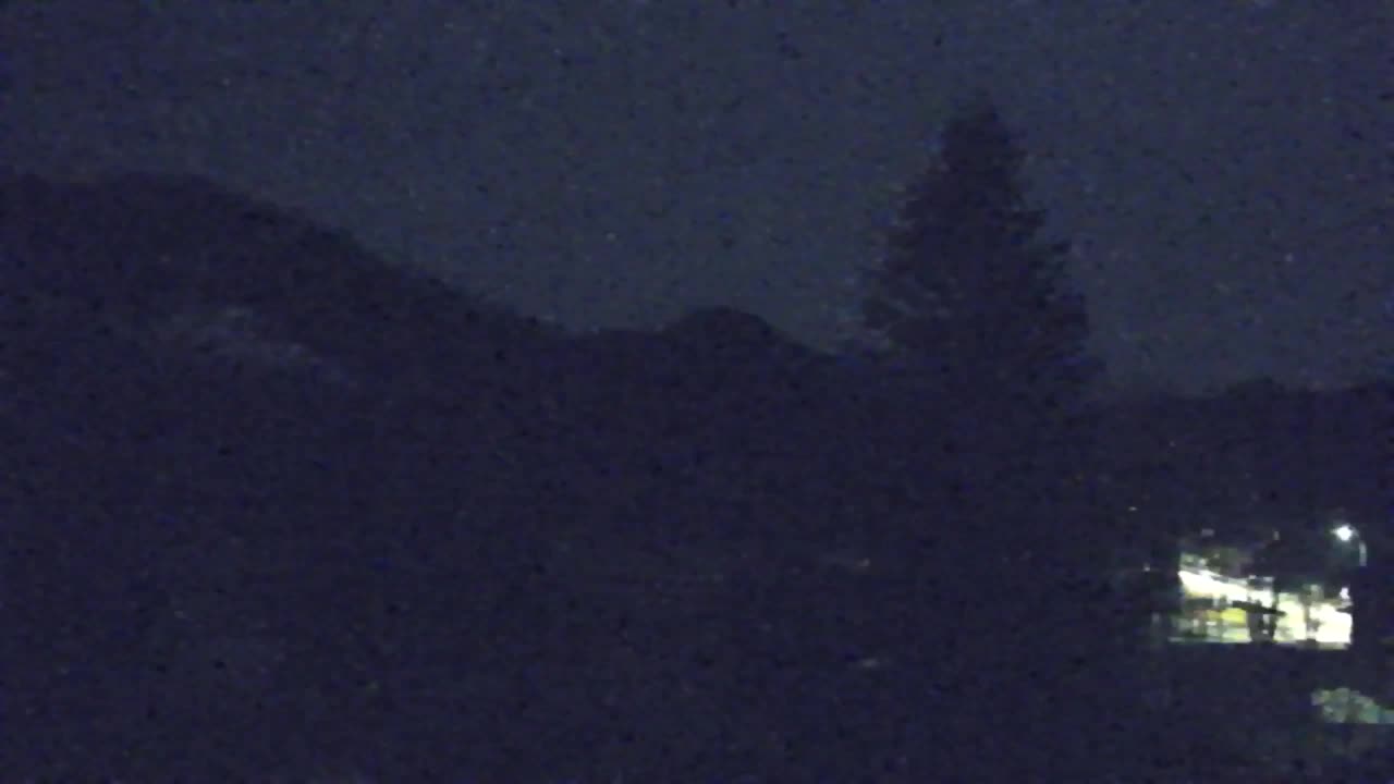 Webcam Loqua / Lokve – La bellezza della selva di Tarnova