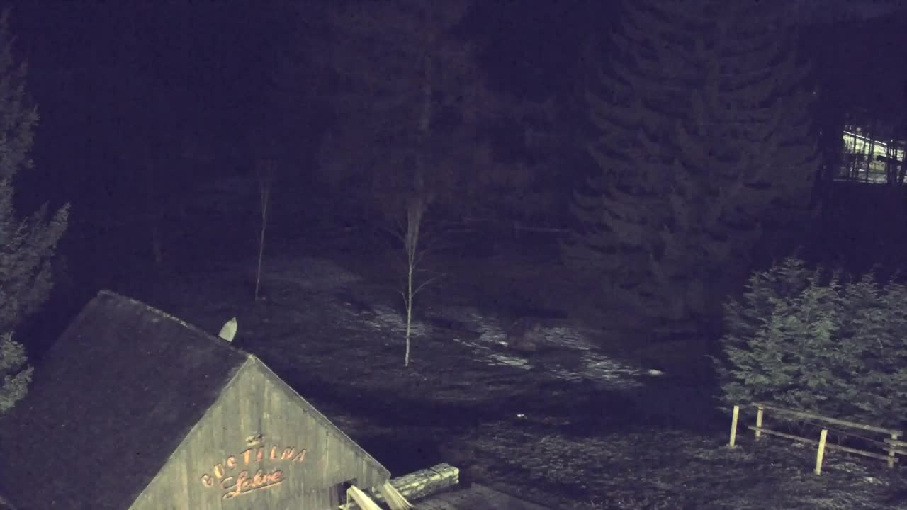 Webcam Lokve – The beauty of the Trnovo forest