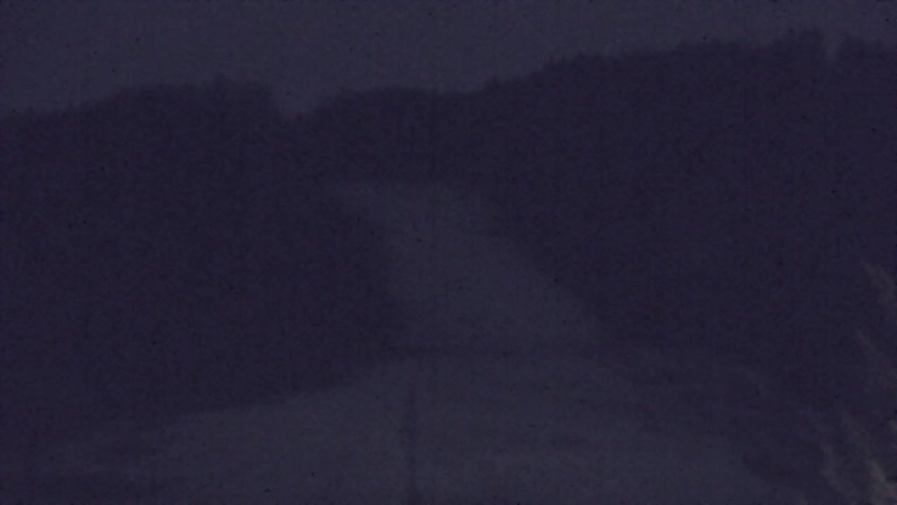 Web kamera Lokve – Ljepota Trnovske šume