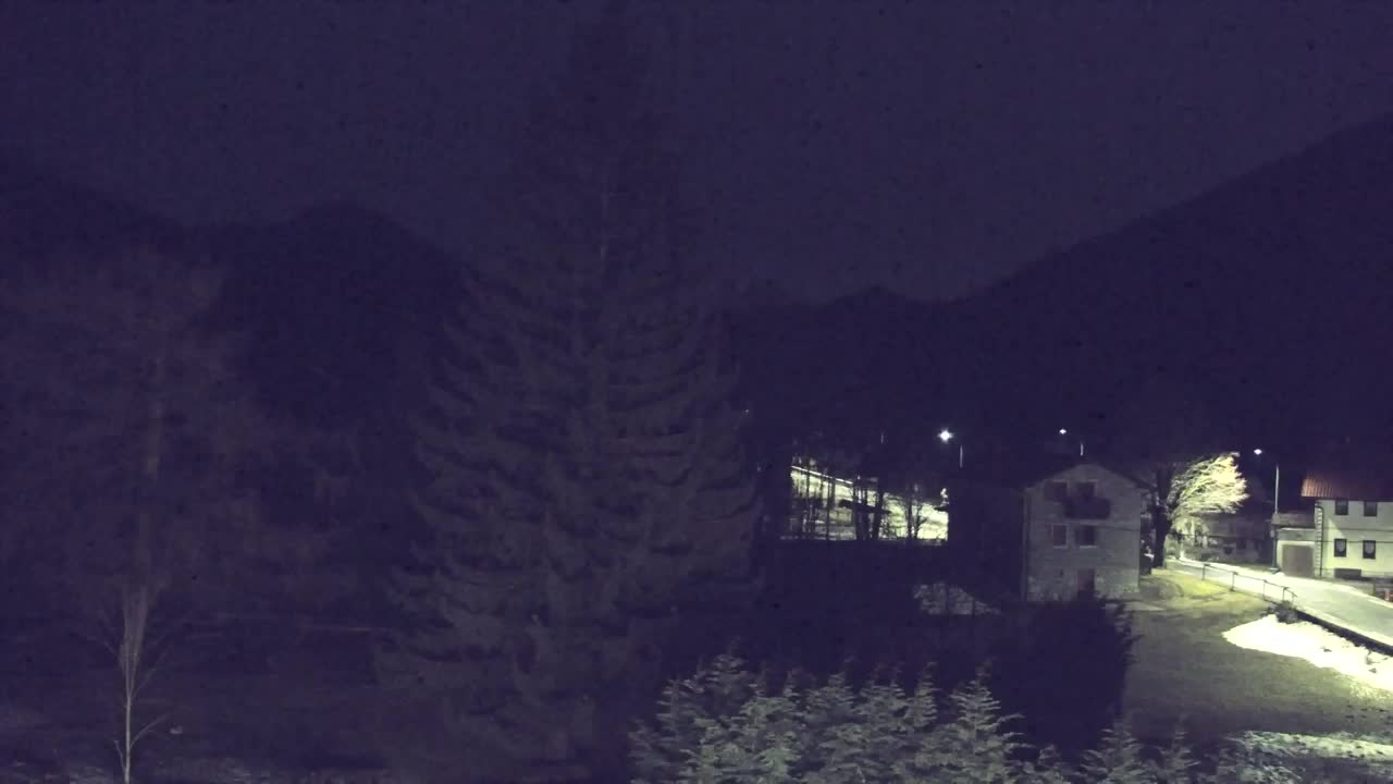 Webcam Loqua / Lokve – La bellezza della selva di Tarnova