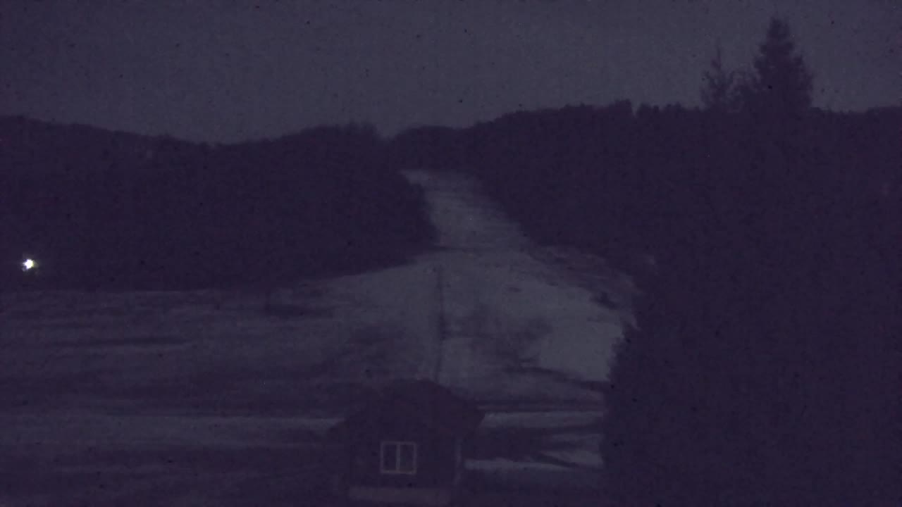 Webcam Lokve – The beauty of the Trnovo forest