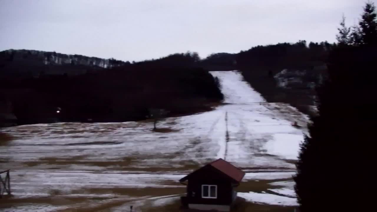 Webcam Loqua / Lokve – La bellezza della selva di Tarnova