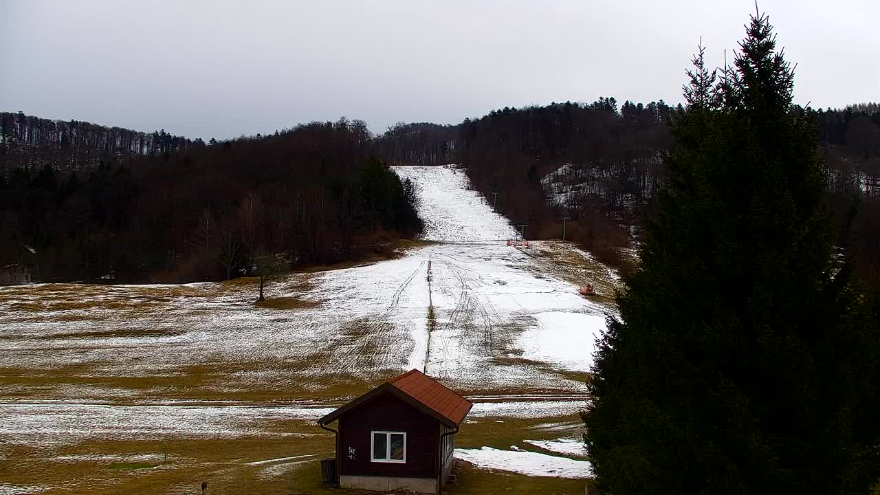 Webcam Lokve – La beauté de la forêt de Trnovo