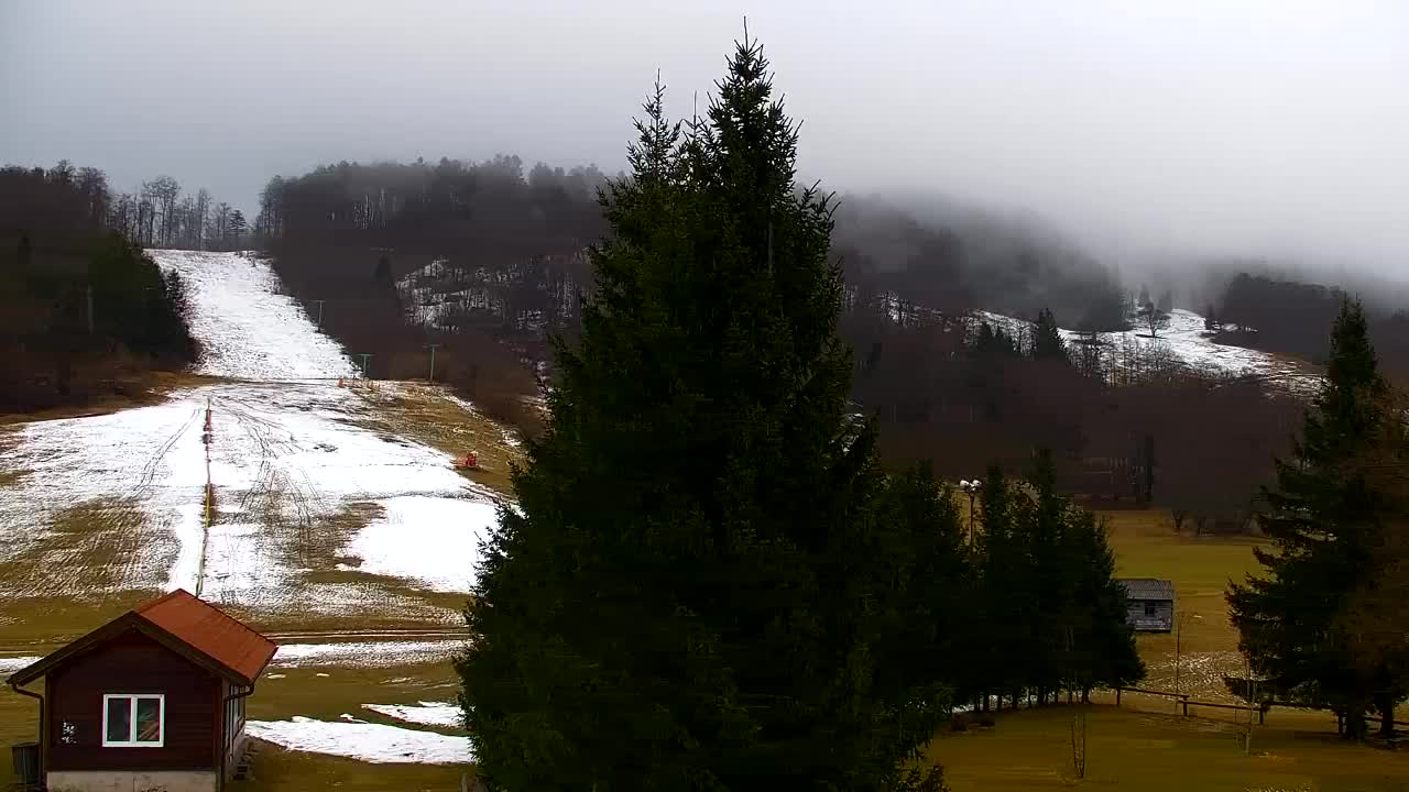 Webcam Lokve – The beauty of the Trnovo forest