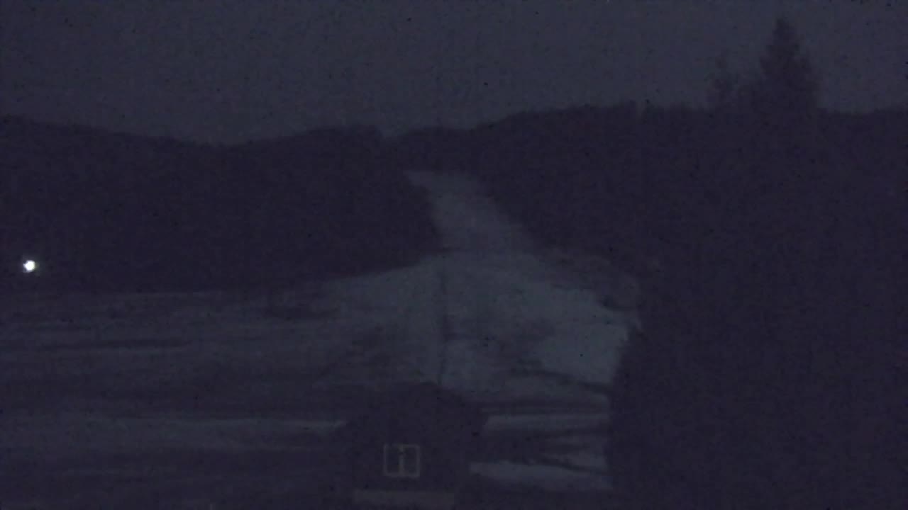 Webcam Loqua / Lokve – La bellezza della selva di Tarnova