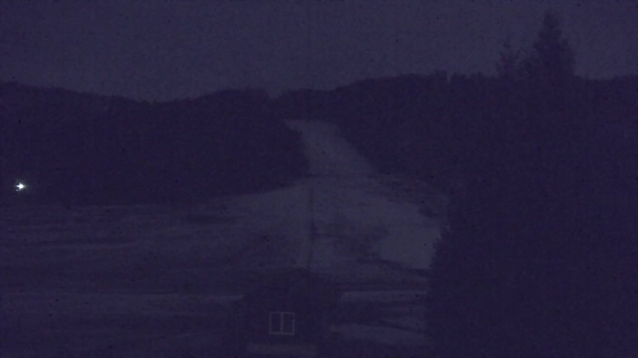 Webcam Lokve – The beauty of the Trnovo forest