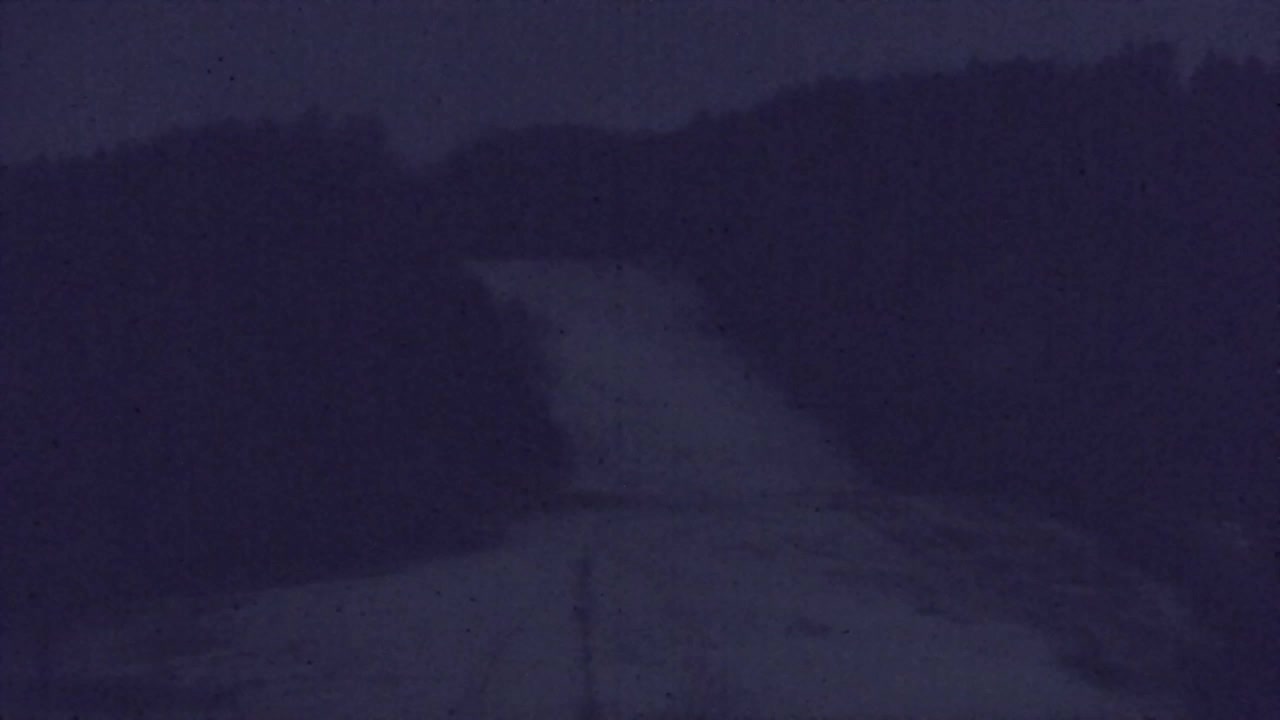 Webcam Loqua / Lokve – La bellezza della selva di Tarnova