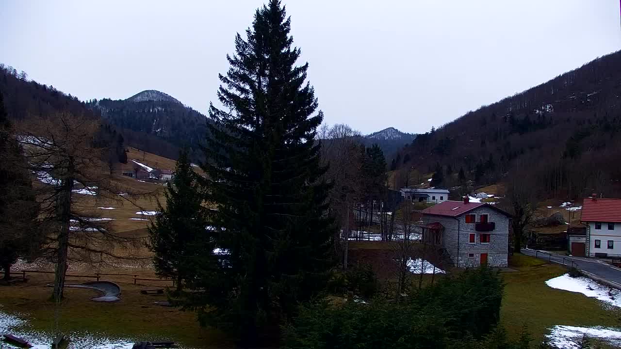 Webcam Lokve – Die Schönheit des Trnovo-Waldes