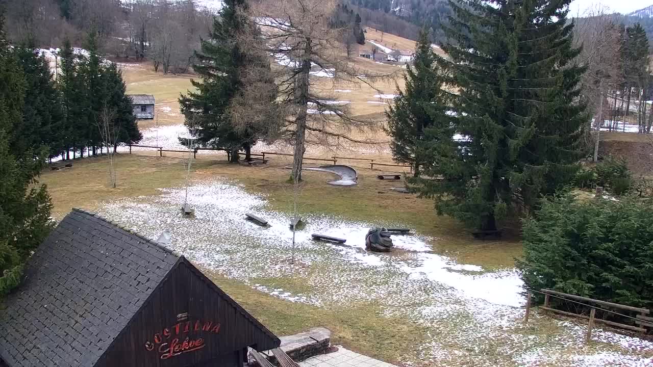 Webcam Loqua / Lokve – La bellezza della selva di Tarnova