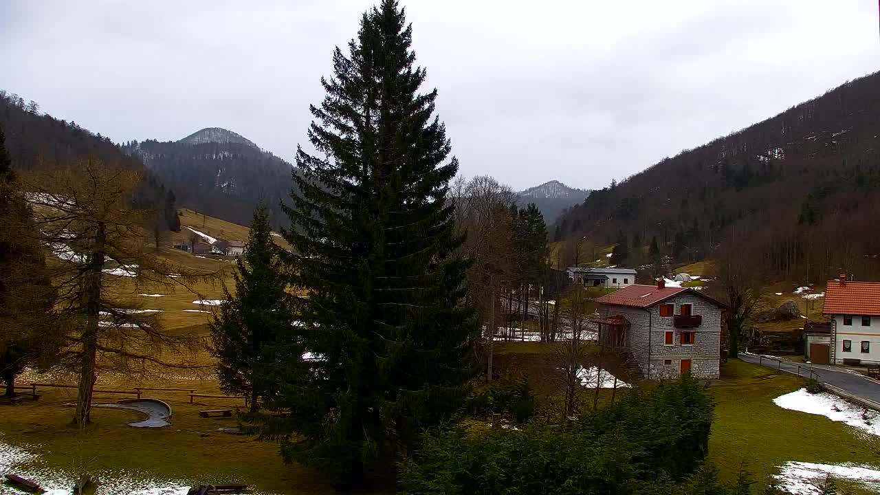 Webcam Lokve – The beauty of the Trnovo forest