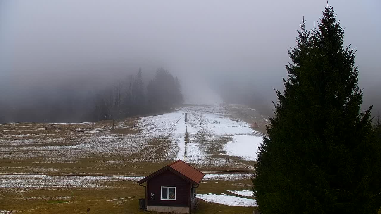 Web kamera Lokve – Ljepota Trnovske šume