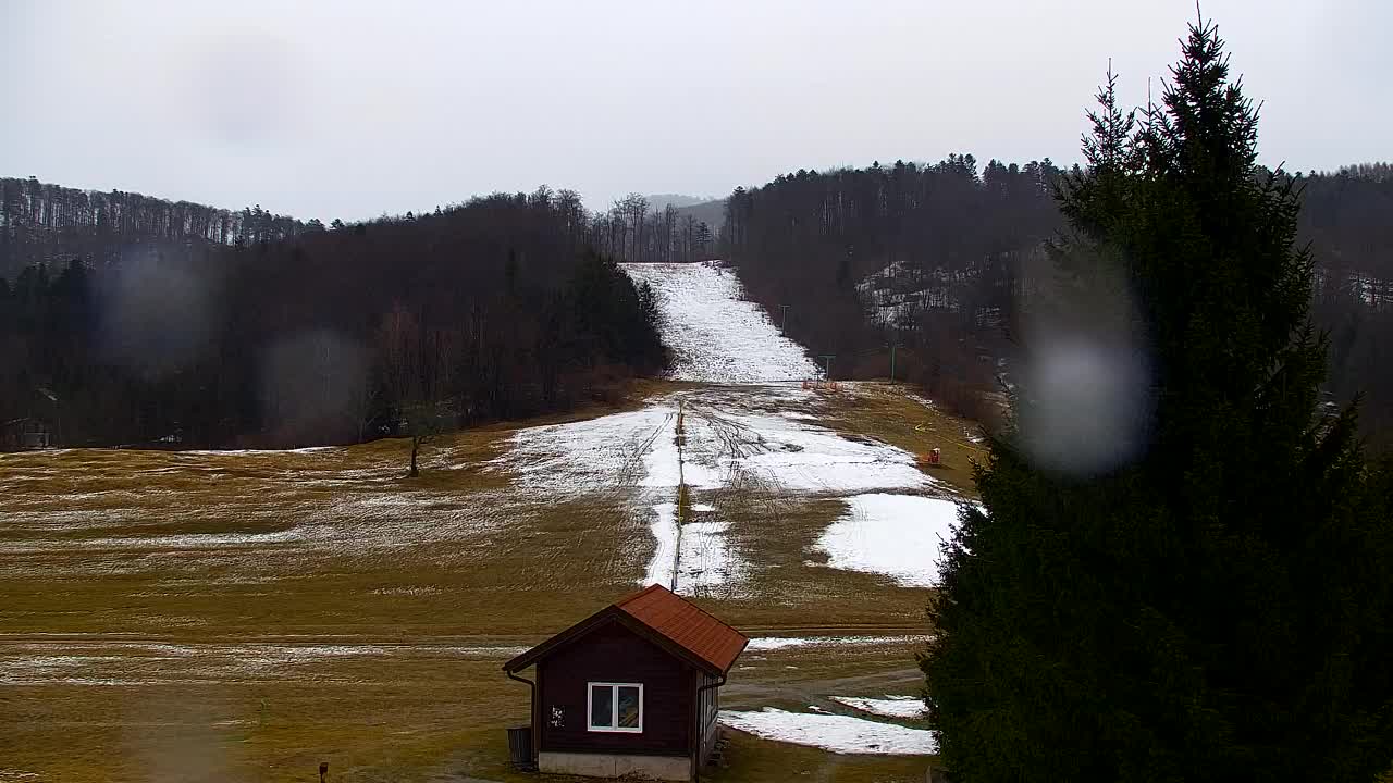 Webcam Lokve – The beauty of the Trnovo forest