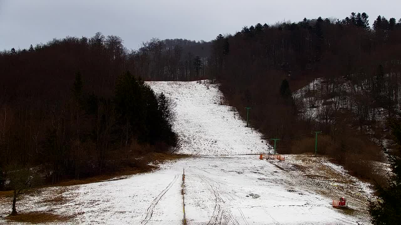Web kamera Lokve – Ljepota Trnovske šume