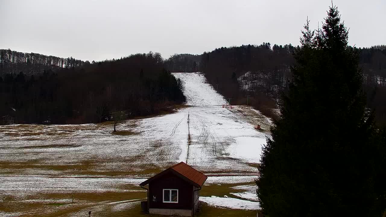 Webcam Lokve – La beauté de la forêt de Trnovo