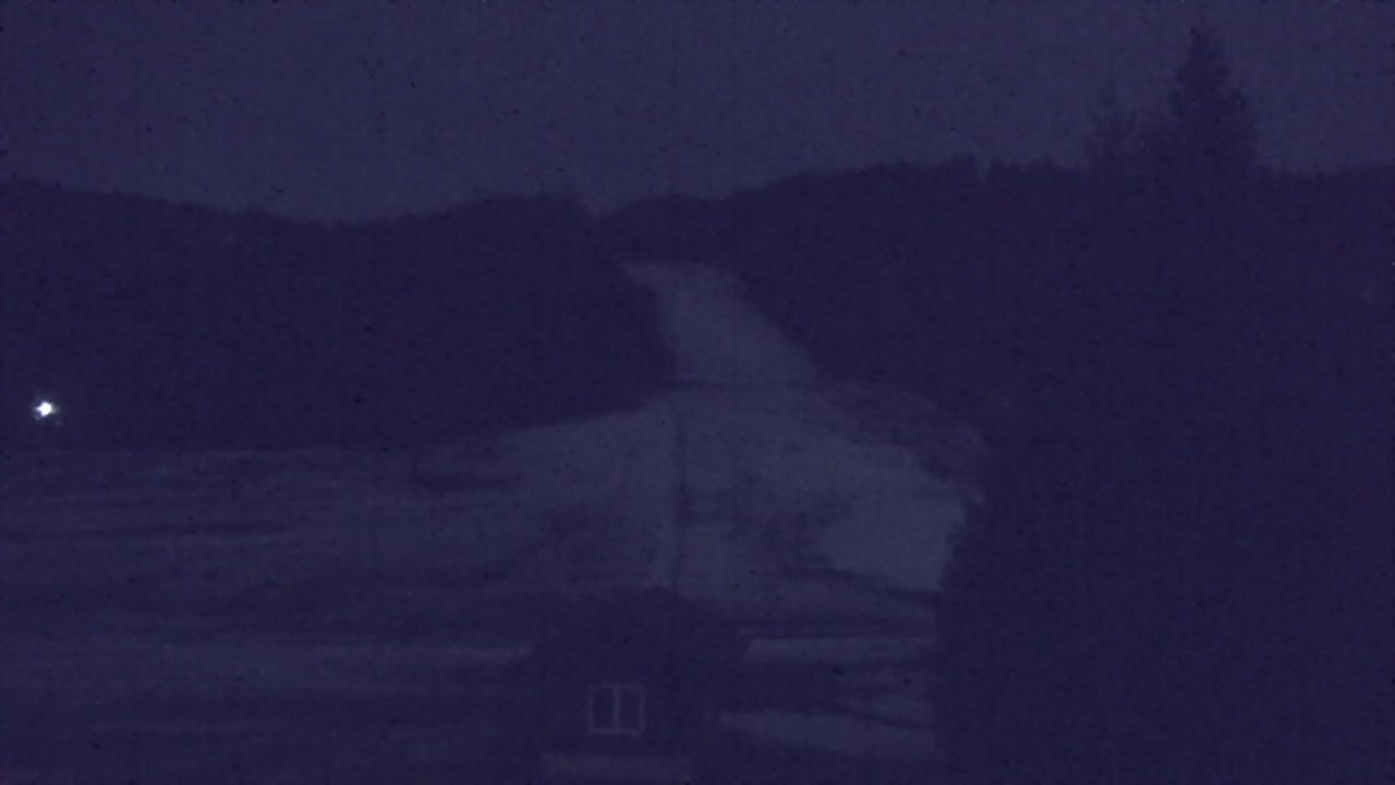 Webcam Loqua / Lokve – La bellezza della selva di Tarnova