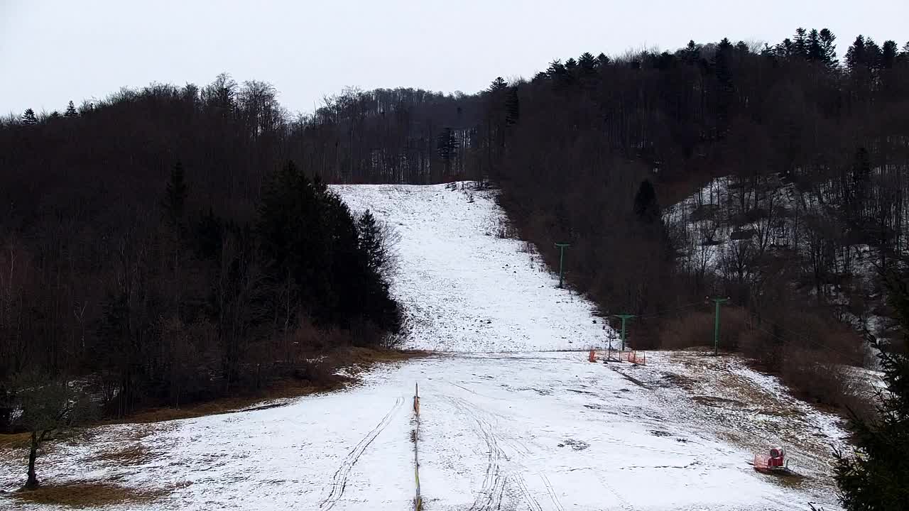 Webcam Lokve – The beauty of the Trnovo forest