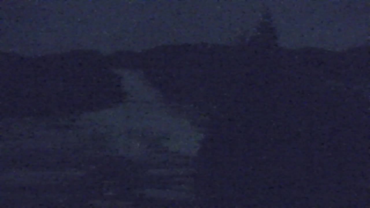 Camera en vivo Lokve – La belleza del bosque de Trnovo