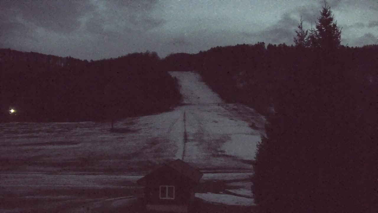 Webcam Lokve – The beauty of the Trnovo forest