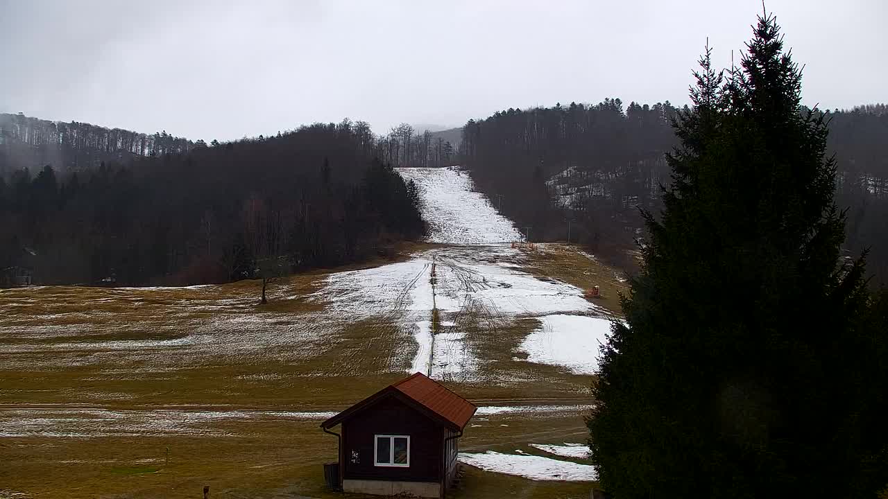 Webcam Lokve – The beauty of the Trnovo forest