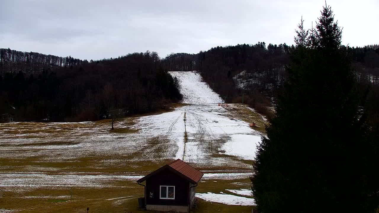 Web kamera Lokve – Ljepota Trnovske šume