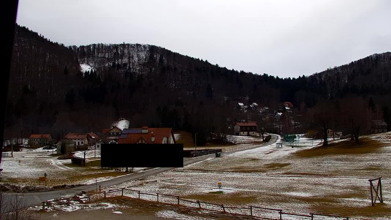 Webcam Loqua / Lokve – La bellezza della selva di Tarnova