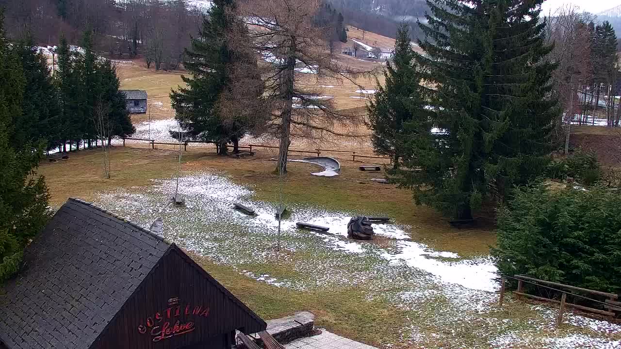 Webcam Loqua / Lokve – La bellezza della selva di Tarnova