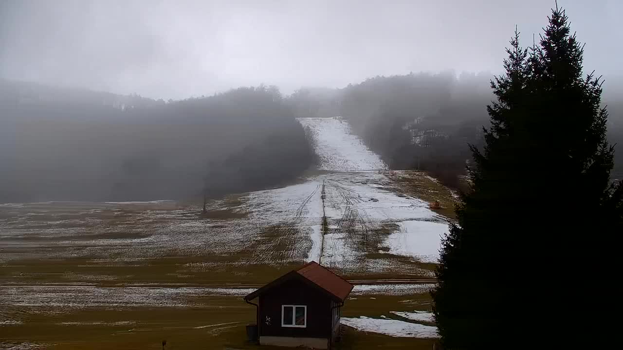Webcam Lokve – The beauty of the Trnovo forest