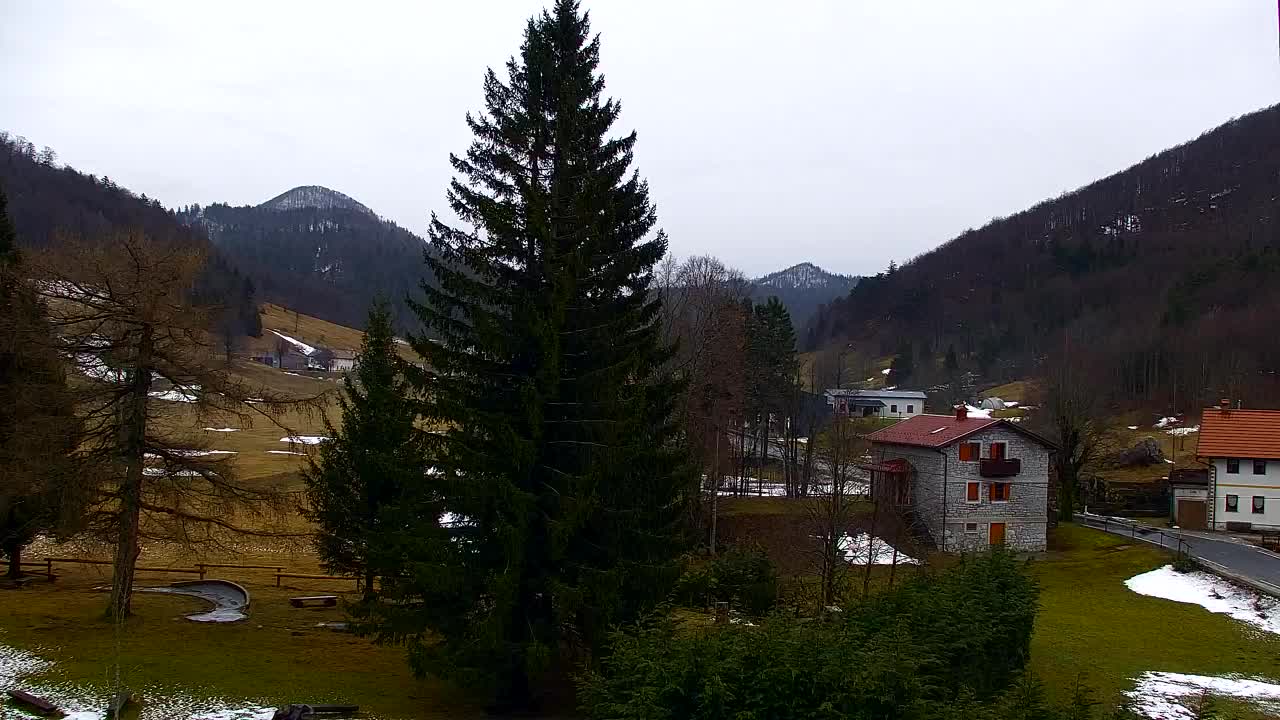 Webcam Lokve – Die Schönheit des Trnovo-Waldes