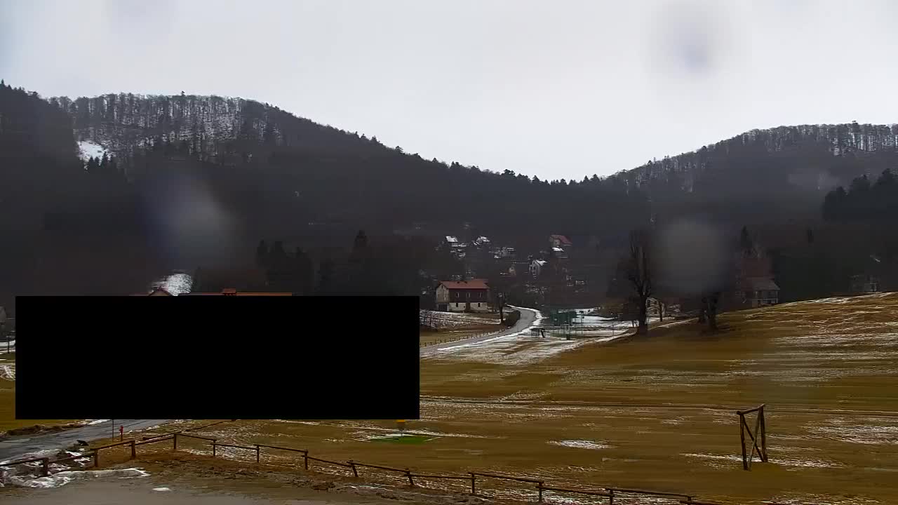 Webcam Loqua / Lokve – La bellezza della selva di Tarnova