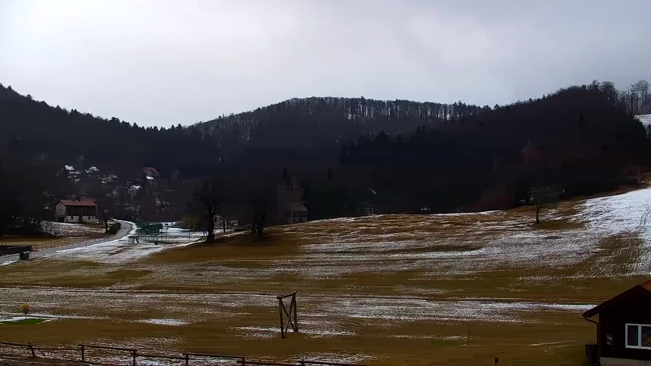 Webcam Loqua / Lokve – La bellezza della selva di Tarnova