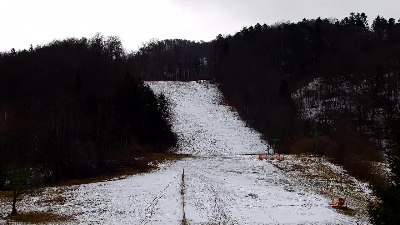 Webcam Loqua / Lokve – La bellezza della selva di Tarnova