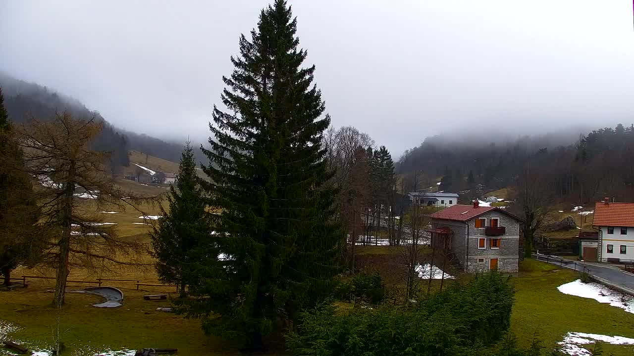 Webcam Lokve – The beauty of the Trnovo forest