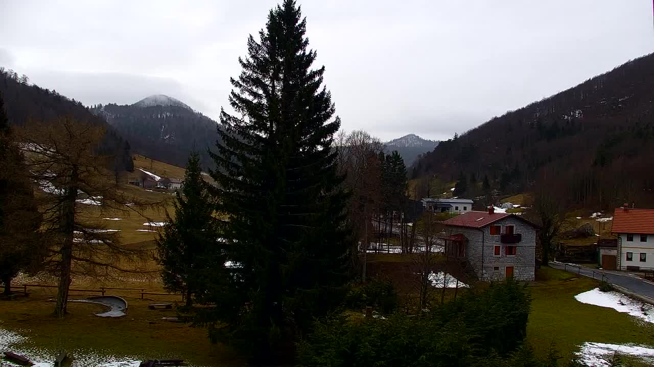 Webcam Lokve – The beauty of the Trnovo forest