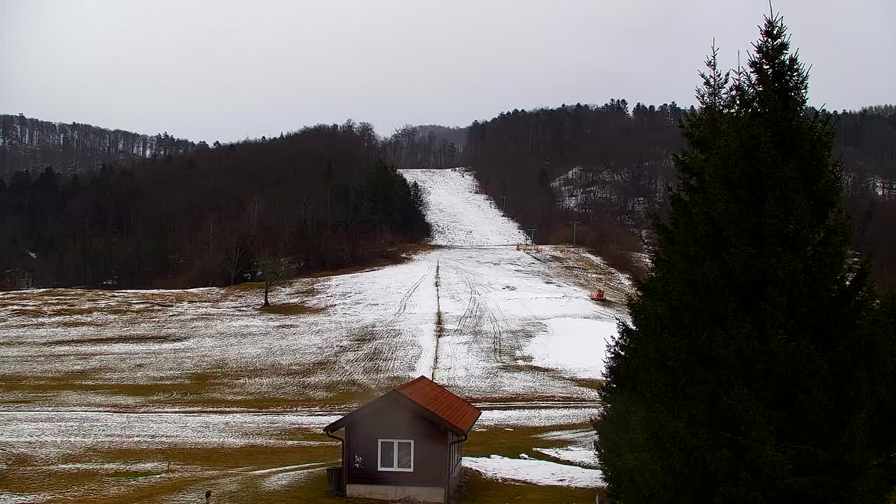 Webcam Lokve – The beauty of the Trnovo forest