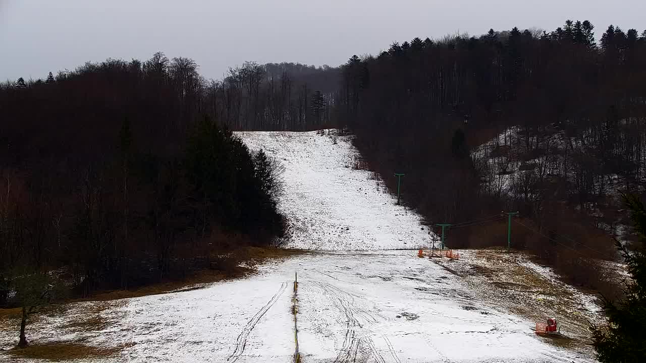 Webcam Lokve – The beauty of the Trnovo forest