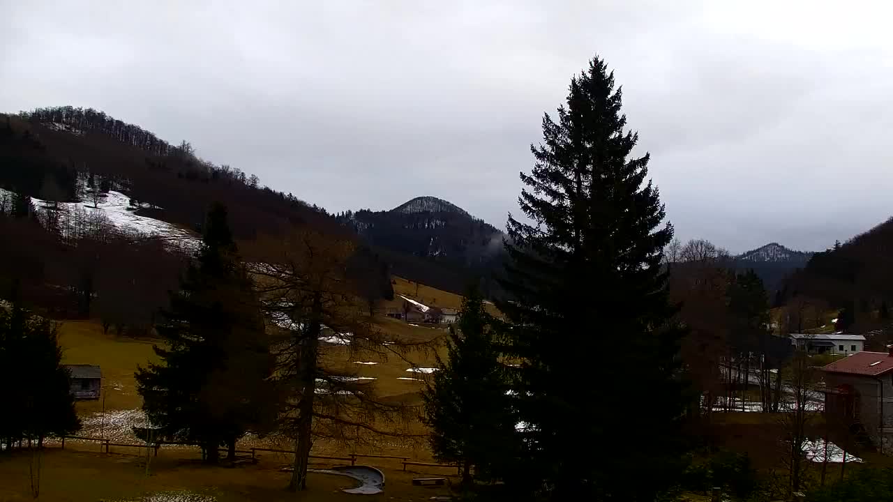 Webcam Lokve – Die Schönheit des Trnovo-Waldes