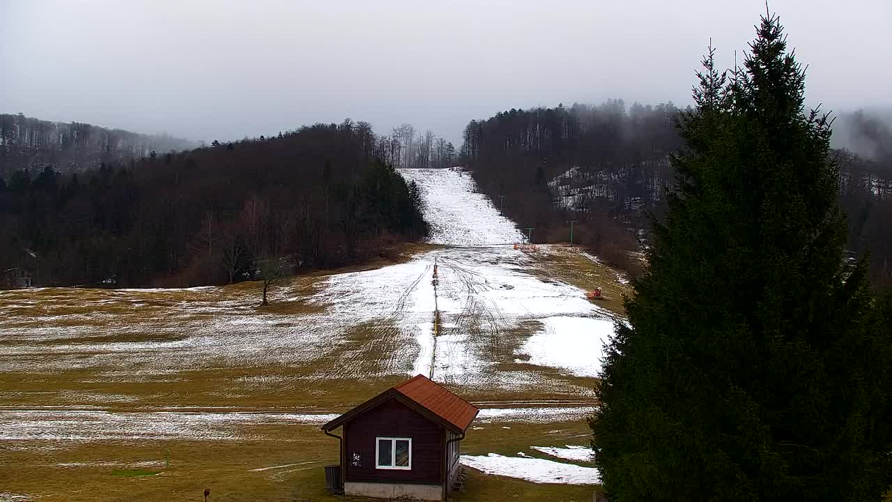 Webcam Lokve – The beauty of the Trnovo forest